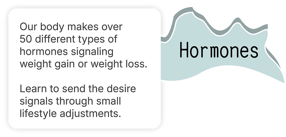 hormones wiht texr.png