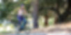 Image 5.jpeg