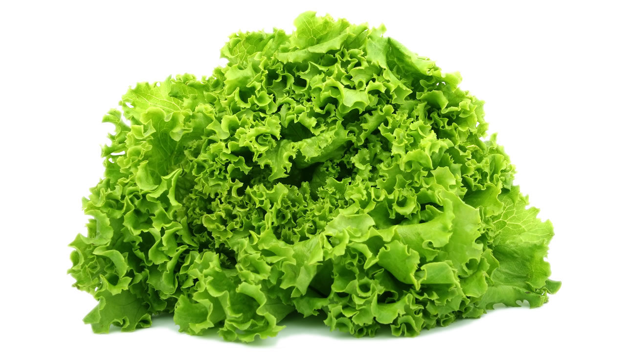 Alface Crespa - 1 maço