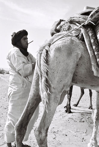 Random photo of Moroccan desert