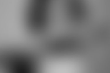 stuff it ! ... and a few cool links thrown in