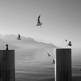 bit earlier, same neighbourhood