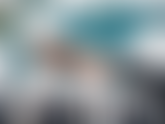 Empowering Businesses: OV Partners' Intercultural Management Solutions