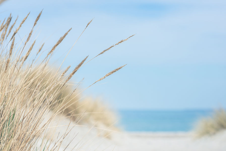 AdobeStock_429067666.jpeg