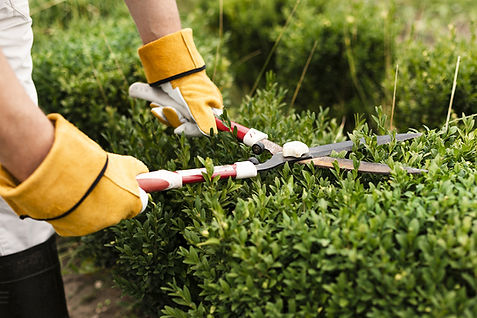 Shrub care RI