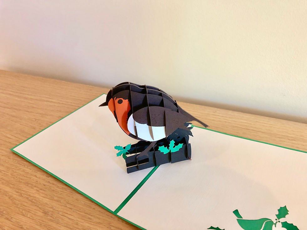Thumbnail: Robin Pop up Cards