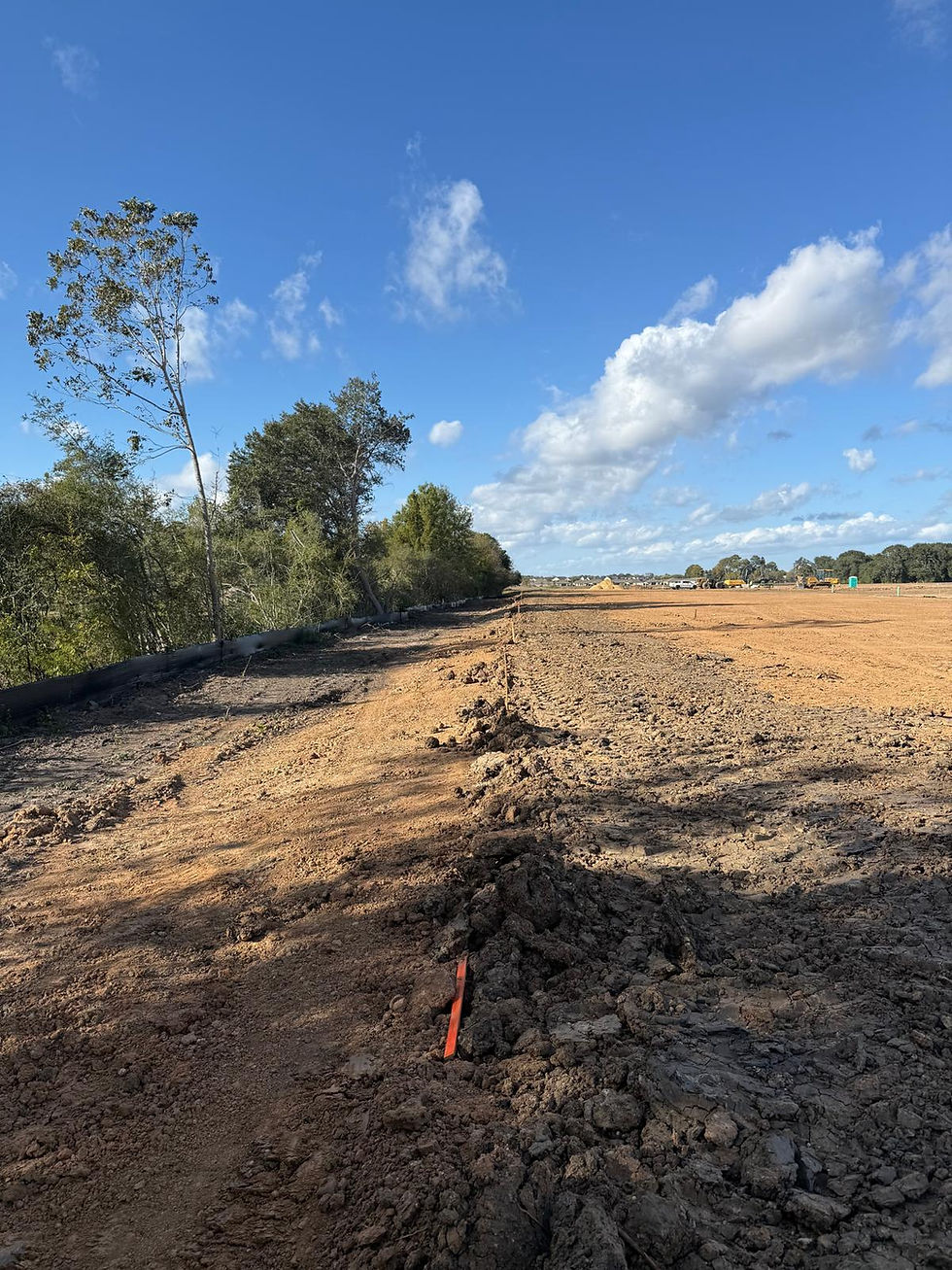 Parkside Trails 42-acre residential subdivision site in Alvin, Texas