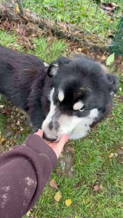 Miniature : Bandit