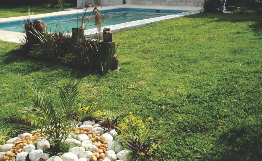 jardin 12.png