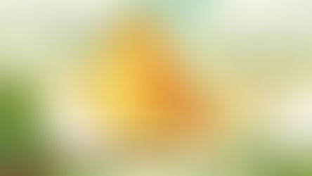 என் இனிய பறவையே