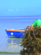 பேசும் கடல் - 7