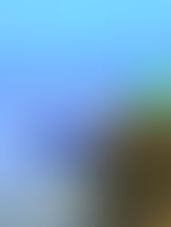 பேசும் கடல் - 7