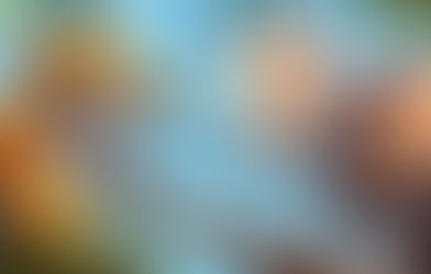 ஆனை – புலி