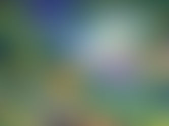 பூங்கா நண்பர்கள்