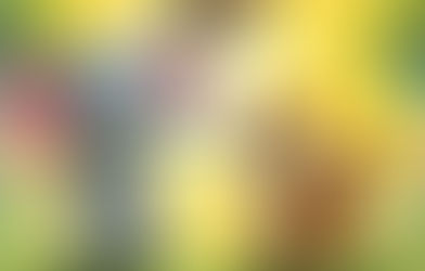 மறதி நல்லது!