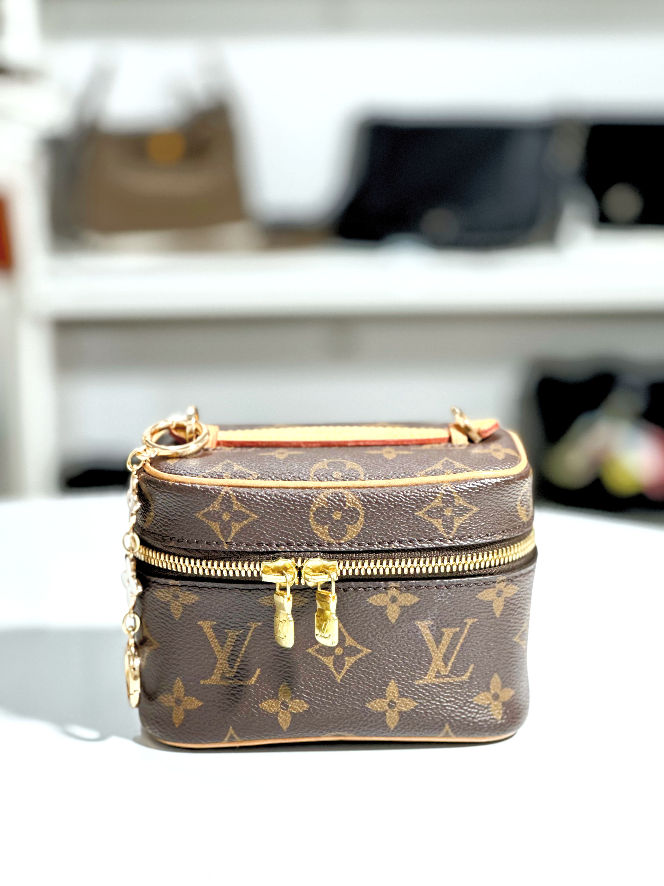 Louis Vuitton NICE NANO