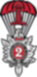 Queen's Own Rifles Para Company