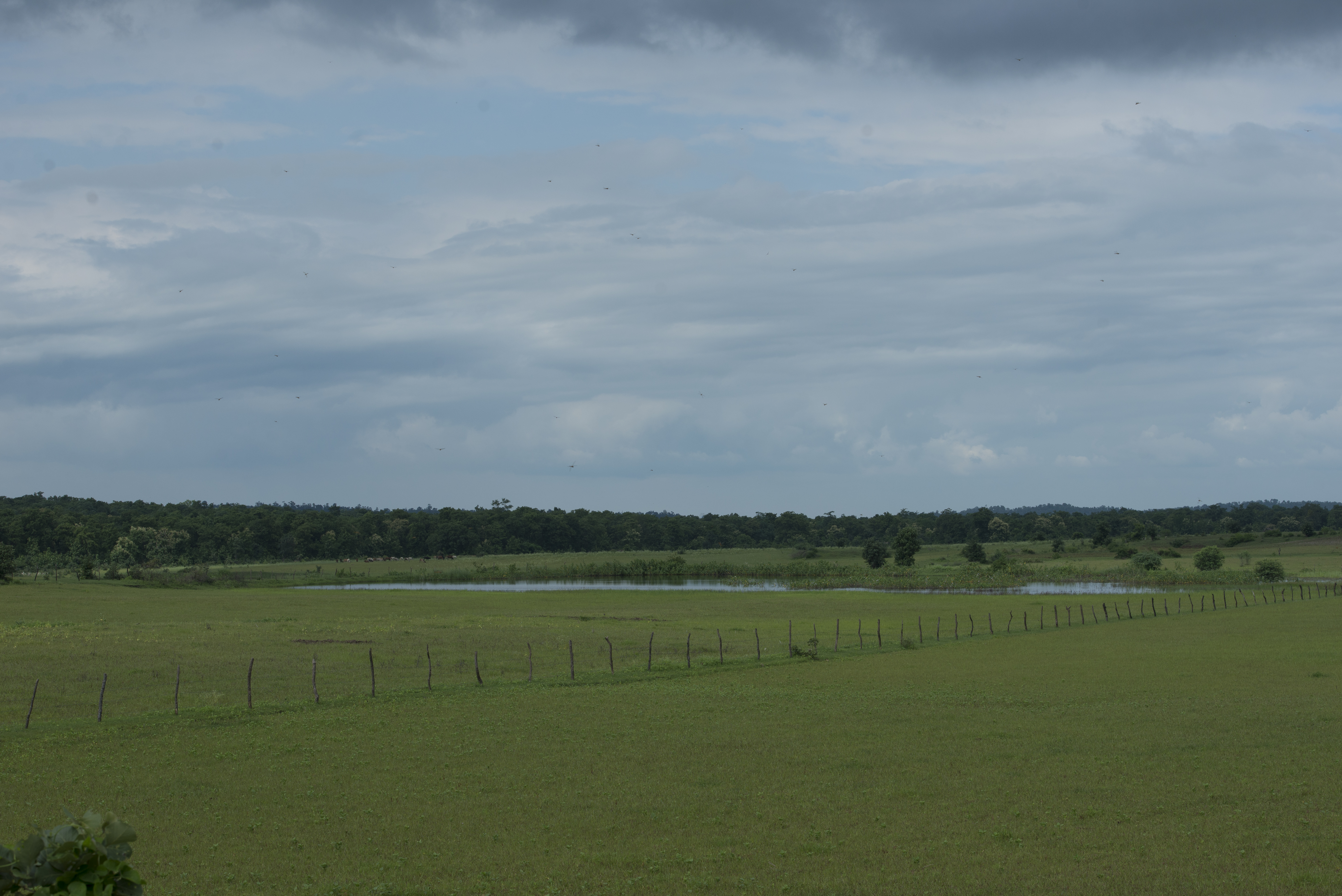 TDS-200817-sm-2-534