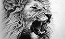 lion.jpg