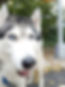 20181028_130921.jpg