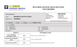 Cannoli DNA report