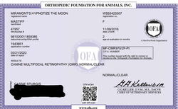 Cordelia CMR Certificate