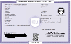 Cordelia Cystinura Certificate