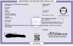 Cordelia DM Certificate