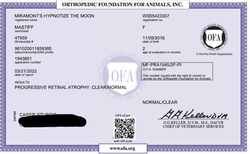 Cordelia PRA Certificate