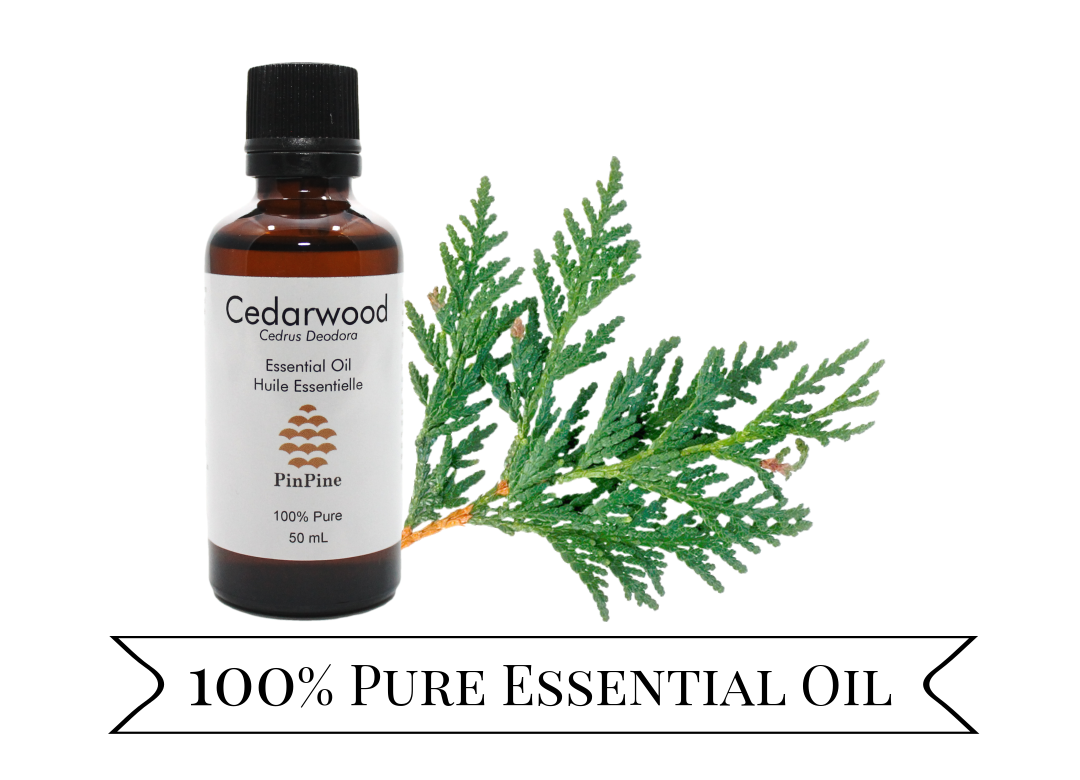 Cedarwood (Himalayan) Essential Oil - 50mL