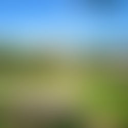 再び脚光を浴びている清里高原 国道141号線から少し入った平坦地 199坪 1197万円永住でも別荘としても活用いただけます