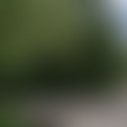 307坪 820万円 長野県南佐久郡南牧村 八ヶ岳高原海ノ口自然郷 別荘分譲地の1角 雑木林の売り地