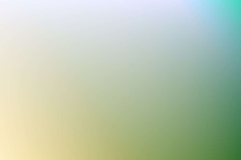 pexels-gradienta-7130532.jpeg
