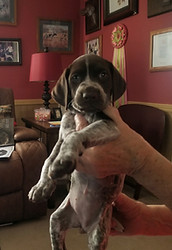 IMG-1276.JPG