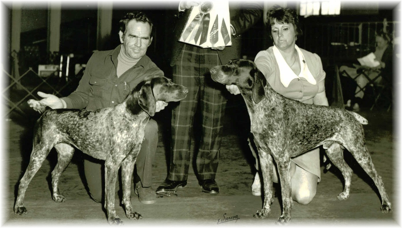 automatic catfish feeder