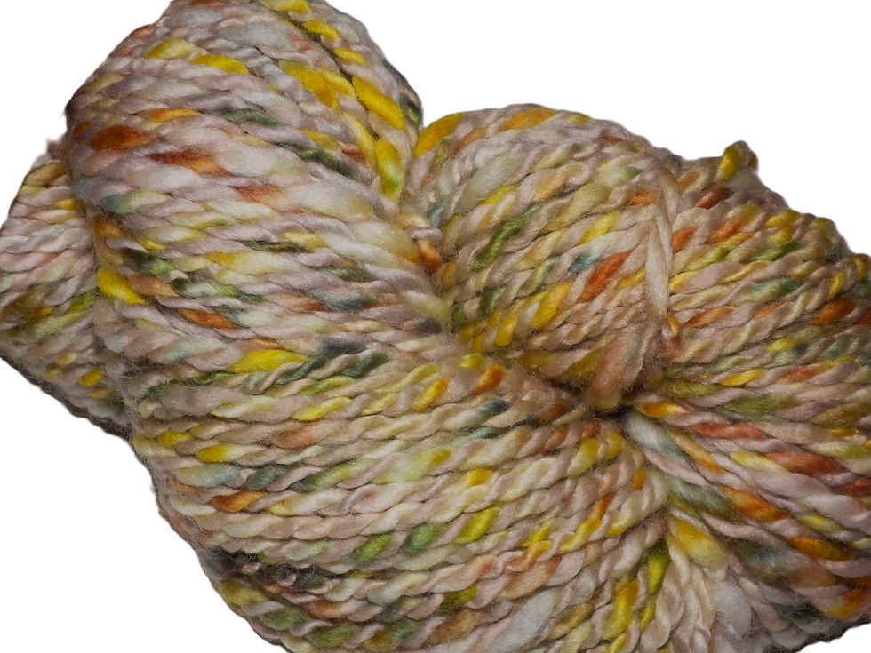 Thumbnail: Barn Owl 100g