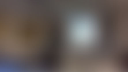 ハマボウフウ種まき会