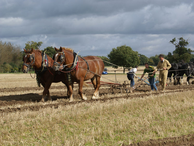ROYAL SOUTH BUCKS AGRICULTURAL ASSOCIATION Ploughing Match