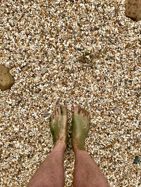 PAUS Barefoot walking trail and meadows