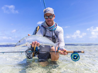 SALT & FRESHWATER FLY