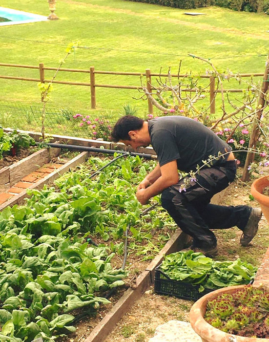 Pieve a Castello organic garden