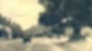 Hall Barn Estate Logo White