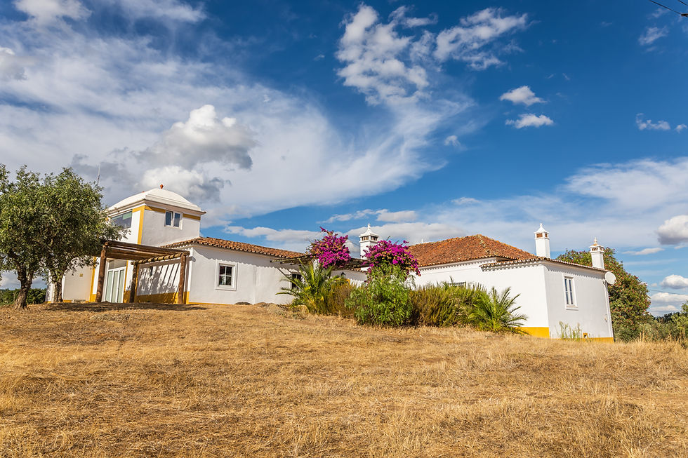 Monte da Maroteira Shadows in the Grass 93.jpg