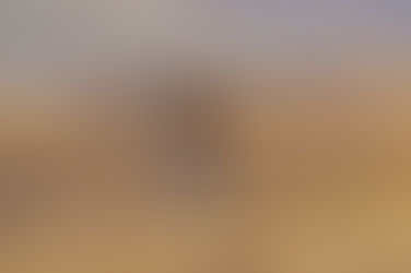 Summer Grouse Report 2022