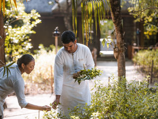 Promoting Herbal Health with an On-Site Herb Garden