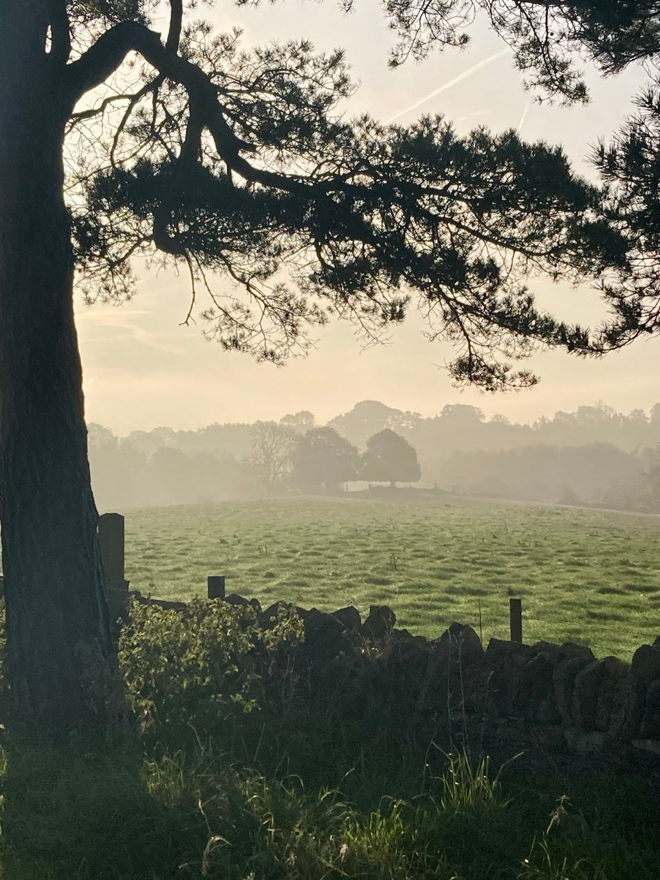 Caroline Froggatt, integrative counsellor and psychotherapist