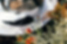 CHELSEAFLOWERSHOW-1498.jpg