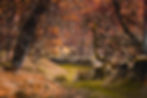 Cawdor Estate Holiday Accommodation - Resaurie - near Cairngorms