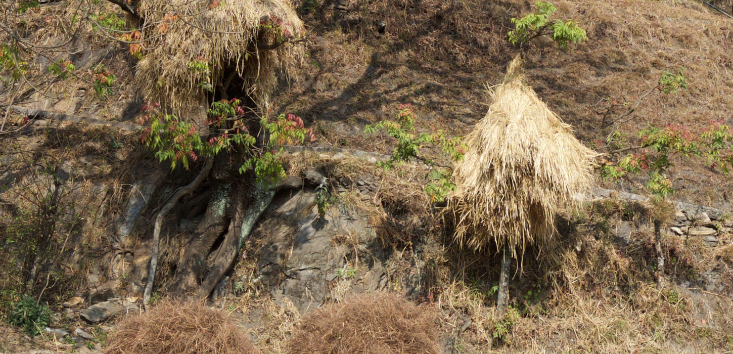 Shakti Himalayan LuxuryTours