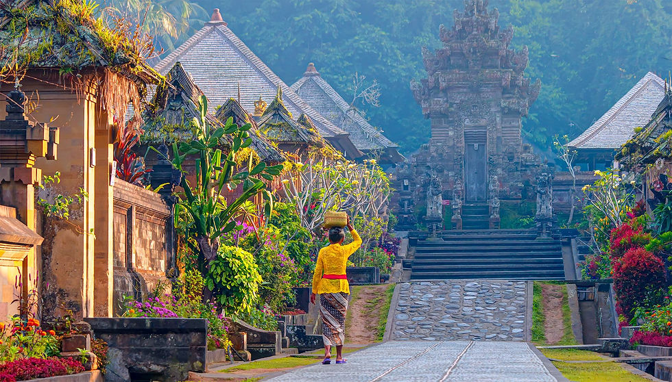 Indonesia Kudo Lifestyle Travel